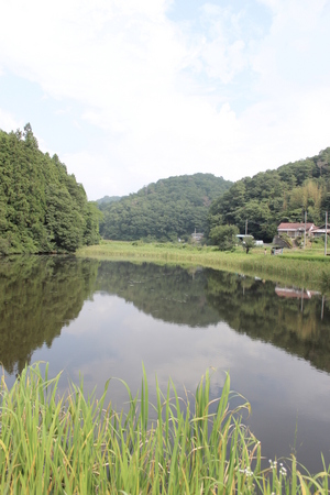 茨城県