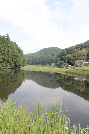 茨城県