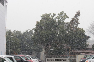 雪